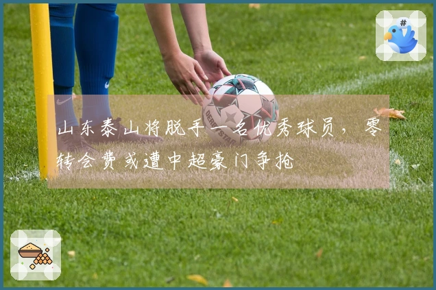 山东泰山将脱手一名优秀球员，零转会费或遭中超豪门争抢
